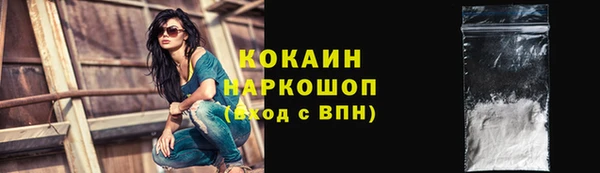 индика Балахна