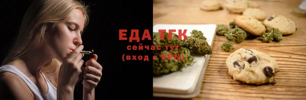 индика Балахна