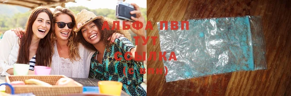 шишки Арсеньев
