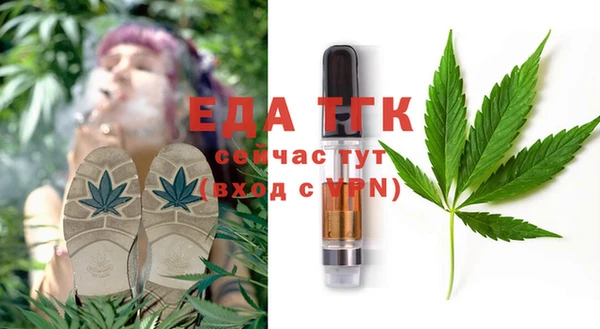 индика Балахна