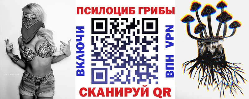 mega зеркало закладки Пущино Псилоцибиновые грибы GOLDEN TEACHER