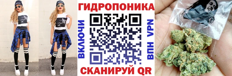 Конопля White Widow  OMG зеркало  Пущино  магазин продажи  
